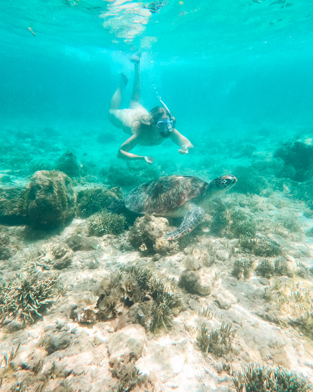 A girl snorkels with a turtle in Moalboal, Cebu