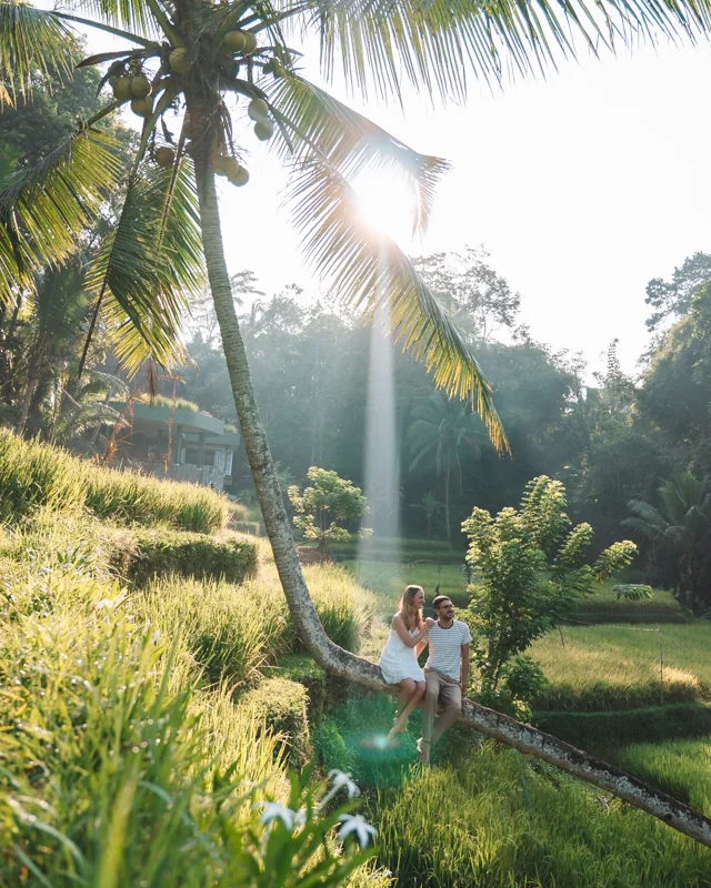 2 weeks Bali for beginners